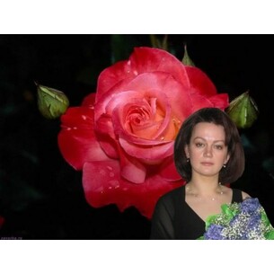 Natalia thanks to my owner